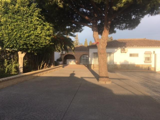 Villa Torrealta, 4000 M2 Cádiz Exterior photo